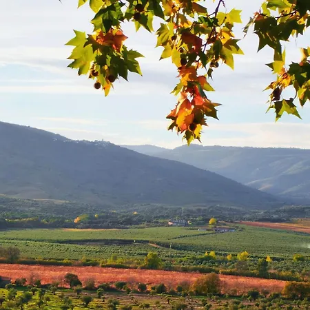 Paraiso Da Foz Do Sabor